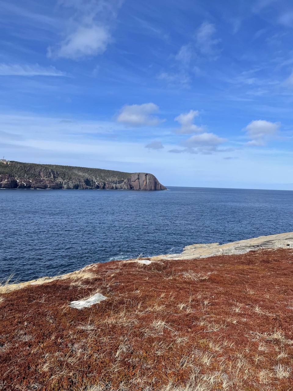 View of Redhead, near Flatrock, Newfoundland and Labrador - Redhead (the headland) in the distance. Just a beautiful colour scape with the ocean and the rusty coloured heath. 