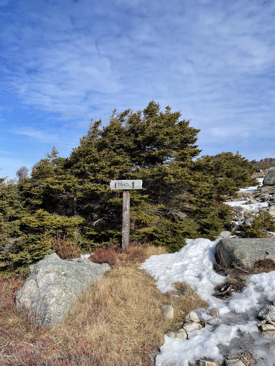 Signage on the East Coast Trail  - The signage on the East Coast Trail is old but pretty reliable. One of the things I love about this trail system is the minimal amount of human interference. 