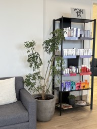 WAVE-Spa-Reception-Area