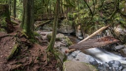 Walking-Bridge-Above-Cypress-Falls