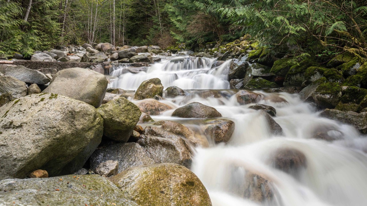Mosquito-Creek-North-Vancouver - Mosquito Creek Trail follows its namesake waterway through lush coastal rainforest. 
