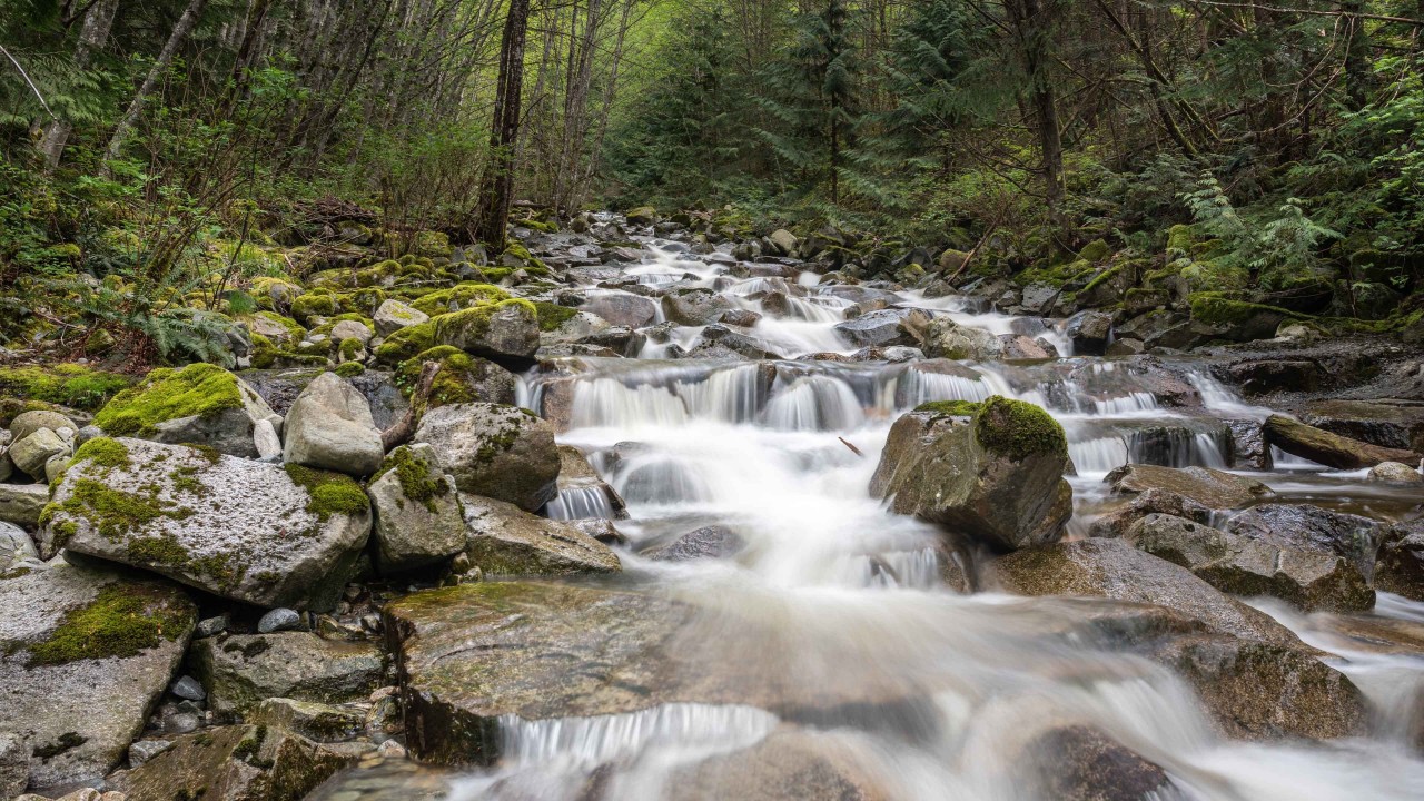 Mosquito-Creek - Mosquito Creek in North Vancouver British Columbia.
