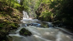 Rockwood-Waterfalls