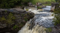Rocwood-Conservation-Area-Dam