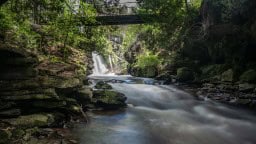 Waterfalls-In-Rockwood