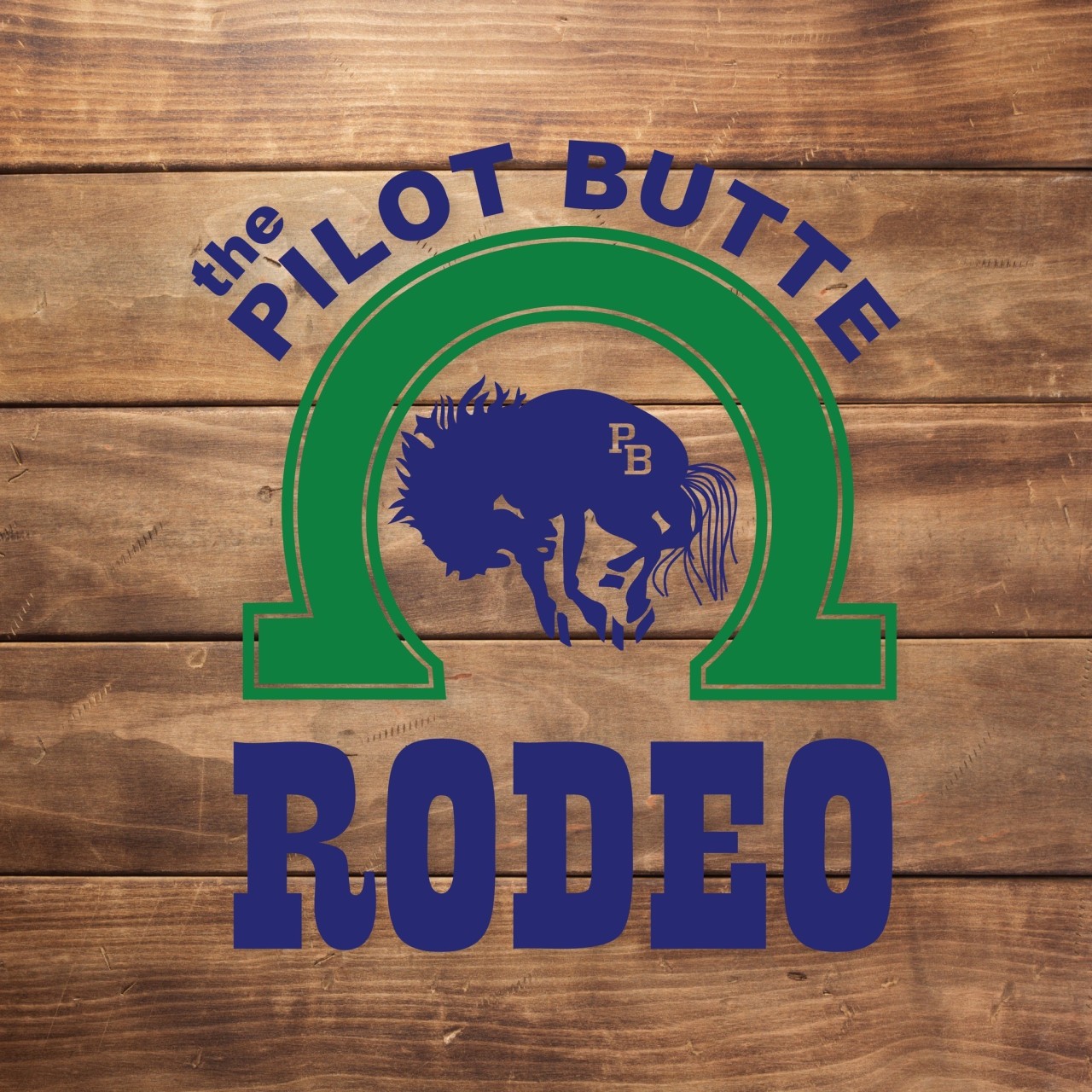 Pilot Butte Rodeo 2025 - Pilot Butte SK