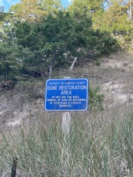 Dune-Restoration-Along-the-Edge