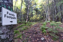 Hiking the Fundy Footpath New Brunswick Canada