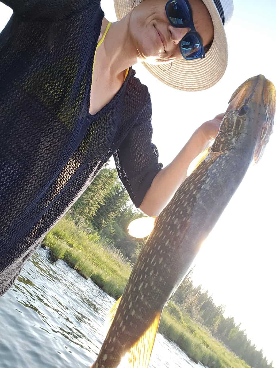 Northern Pike Caught on Cow Lake Alberta Canada - Caught a nice northern pike off the dock at Cow Lake in Alberta 