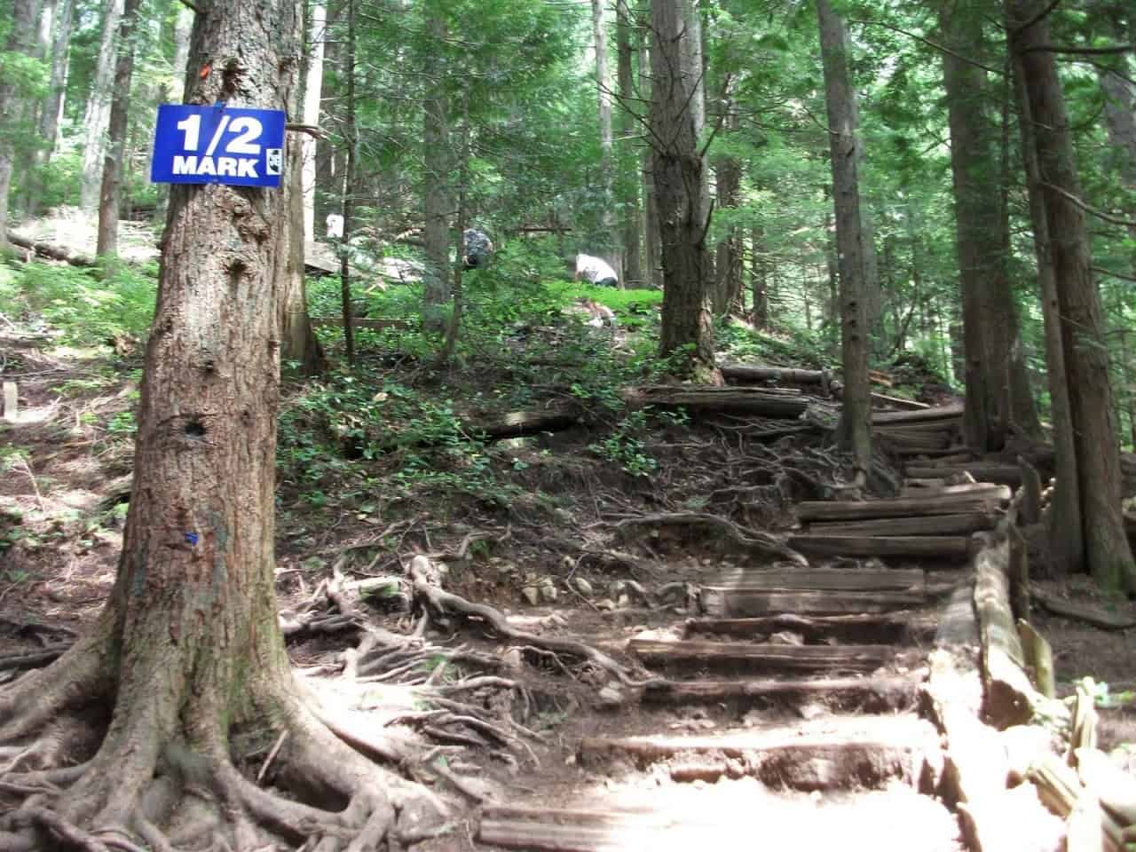 Grouse Grind in Vancouver, BC is Well Marked - The Grouse Grind is a popular and well marked trail that guides hikers up Grouse Mountain.  Orange blazes clearly mark the route, and additional signage informers climbers when they reach the 1/4, halfway, and 3/4 marks on the strenuous climb.