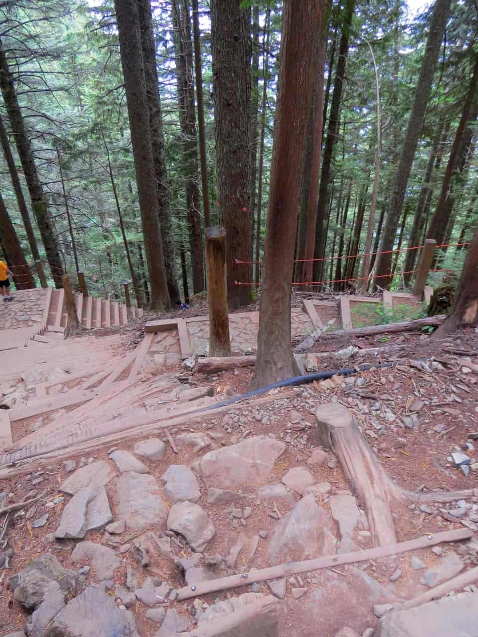 Vancouver's Grouse Grind is known as 'Nature's Stairmaster' - The Grouse Grind Trail in BC, Canada is a strenuous 2.5 km hike that features an 800 m elevation gain.  Hikers must ascent the equivalent of over 2,800 steps to reach the summit, which is 1.5 times the height of the CN tower and twice the height of the Empire State Building.