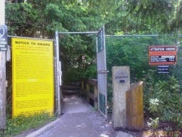 When to Hike Vancouver's Grouse Grind Trail
