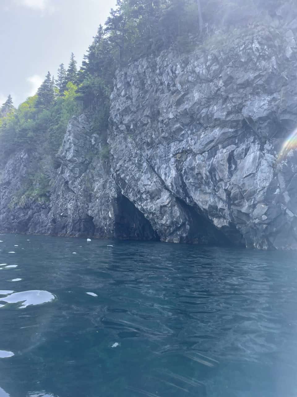  Sea caves in Chapel Arm, NL - Exciting geological formations like sea caves stir the imagation. You can see all sorts of things if you use your imagination. Coastal Newfoundland is filled with these types of wonders. 