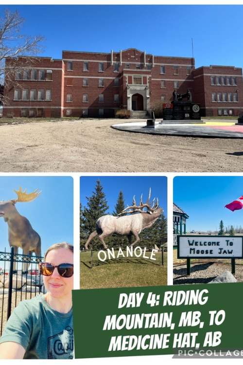 Day 4 - Riding-Mountain, Manitoba -to-Medicine-Hat, Alberta, Canada - Day 4: Travel from Onanole, MB, across Saskatchewan, to Medicine Hat, AB
Scenic Stop #4: Onanole Elk Statue at “Elk Roadside Park” (1997)
Adventure #4: Muscowequan Residential School, the last standing residential school in Saskatchewan
Scenic Stop # 5: Mac the Moose, Moose Jay, MB
Dinner: ‘On the Links’ golf course bar and restaurant at Cottonwood Coulee Golf Course and RV park
Overnight: Cottonwood Coulee Golf Course and RV Park, Medicine Hat, MB