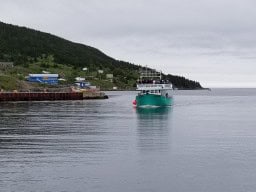 Take a Boat Tour to Witless Bay Ecological Reserve, Bay Bulls, NL