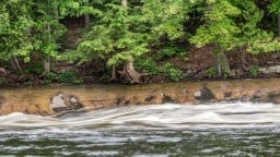 The-Riverbank-At-Port-Sydney-Falls