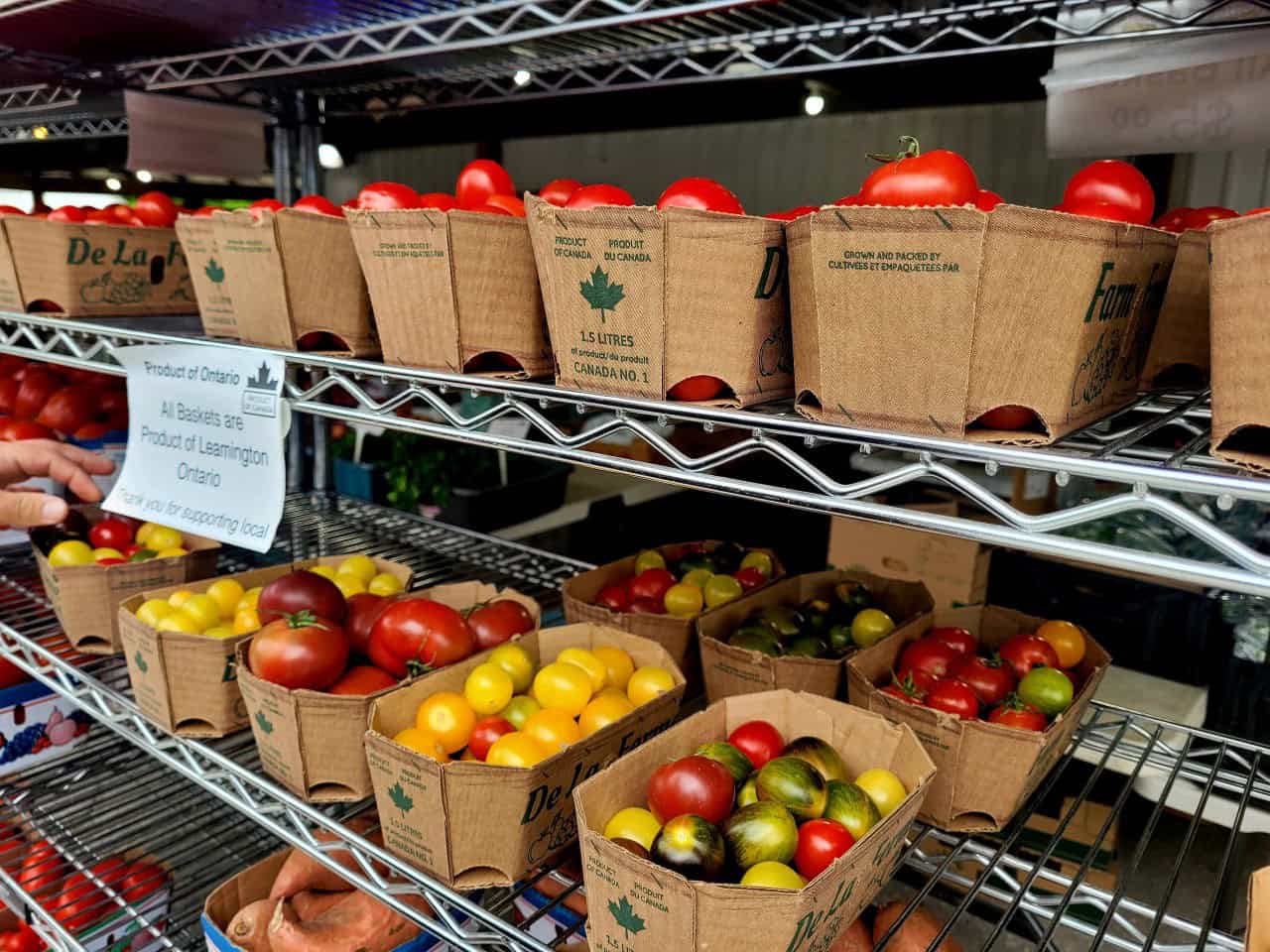 Fresh-Tomatoes-Farmers-Market-Sarnia-Ont - Farm fresh Tomatoes are available at the Sarnia Farmers Market. Perfect for your summer salads or a delicious toasted tomato sandwich. Sarnia, Ontario, Canada