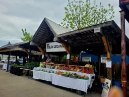 Organic-Veggies-Farmers-Market-Sarnia-Ont