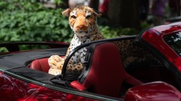 Jaguar-Brits-In-The-Park