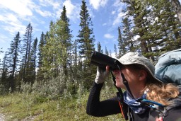 Birding at the Great Blue Heron Nature Reserve Chilliwack, British Columbia