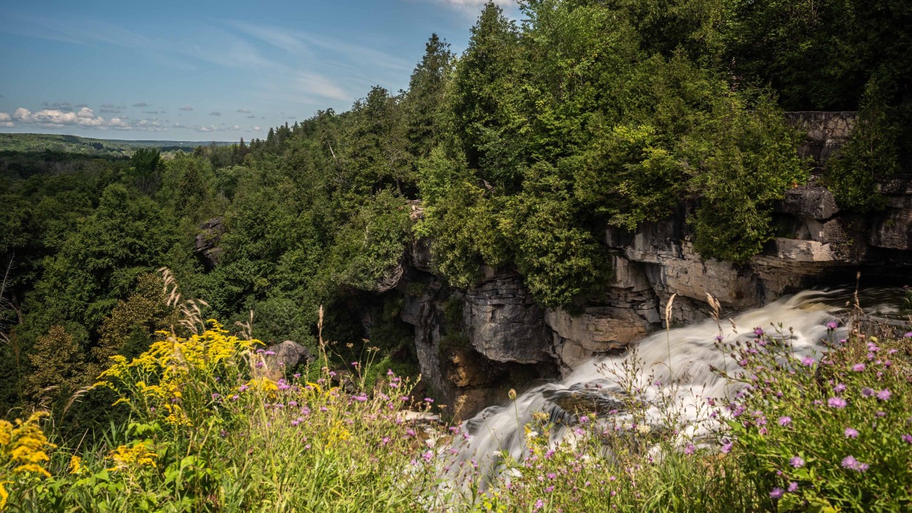 Inglis-Falls-Niagara-Escarpment - Peaking over the edge of the railing looking at Inglis waterfalls                                                                                                                                                                                                                                                                                                                                                                                                                                                                                                                                                                                                                                                                                                                                                                                                                                                                                                                                                                                                                                                                                                                                                                                                                                                                                                                                                                                                                                                                                                                                                                                                                                                                                                                                                                                                                                                                                                                                                                                                                                                                                                                                                                                                                                                                                                                                                                                                                                                                                                                                                                                                                                                                                                                                                                                                                                                                                                                                                                                                                                                                                                                                                                                                                                                                                                                                                                                                                                                                                                                                                                                                                                                                                                                                                                                                                                                                                                                                                                                                                                                                                                                                                                                                                                                                                                                                                                                                                                                                                                                                                                                                                                                                                                                                                                                                                                                                                                                                                                                                                                                                                                                                                                                                                                                                                                                                                                                                                                                                                                                                                                                                                                                                                                                                                                                                                                                                                                                                                                                                                                                                                                                                                                                                                                                                                                                                                                                                                                                                                                                                                                                                                                                                                                                                                                                                                                                                                                                                                                                                                                                                                                                                                                                                                                                                                                                                                                                                                                                                                                                                                                                                                                                                                                                                                                                                                                                                                                                                                                                                                                                                                                                                                                                                                                                                                                                                                                                                                                                                                                                                                                                                                                                                                                                                                                                                                                                                                                                                                                                                                                                                                                                                                                                                                                                                                                                                                                                                                                                                                                                                                                                                                                                                                                                                                                                                                                                                                      