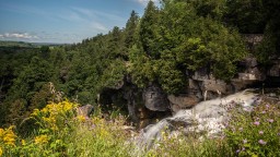 Inglis-Falls-Niagara-Escarpment