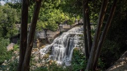 Inglis-Falls-Through-The-Trees