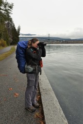 Birding Stanley Park, Vancouver, BC Canada
