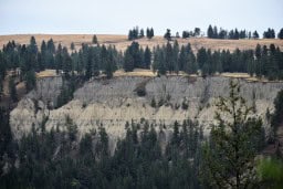 Peaceful River Canyons and Rich Bird Life in BC
