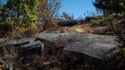 Rocky-Cliffside