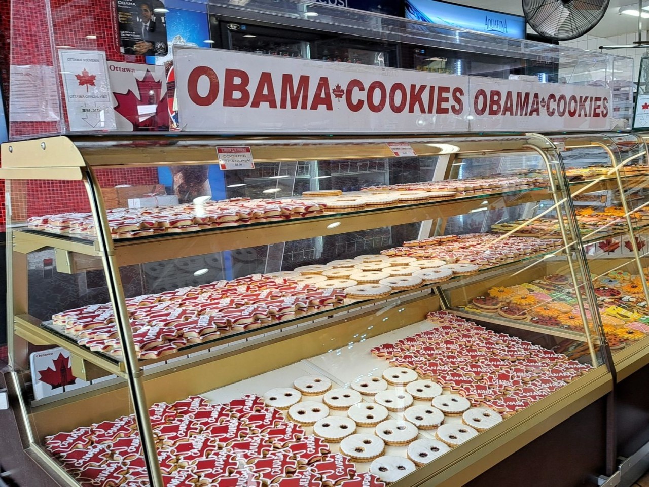 Ottawa's Obama Cookies - These famous cookies earned their name after President Barack Obama stopped here during his 2009 visit to Ottawa. Ever since, visitors line up in ByWard Market to try these chewy maple shortbread “Obama cookies.” A fun local story—and a delicious piece of Ottawa’s history.

