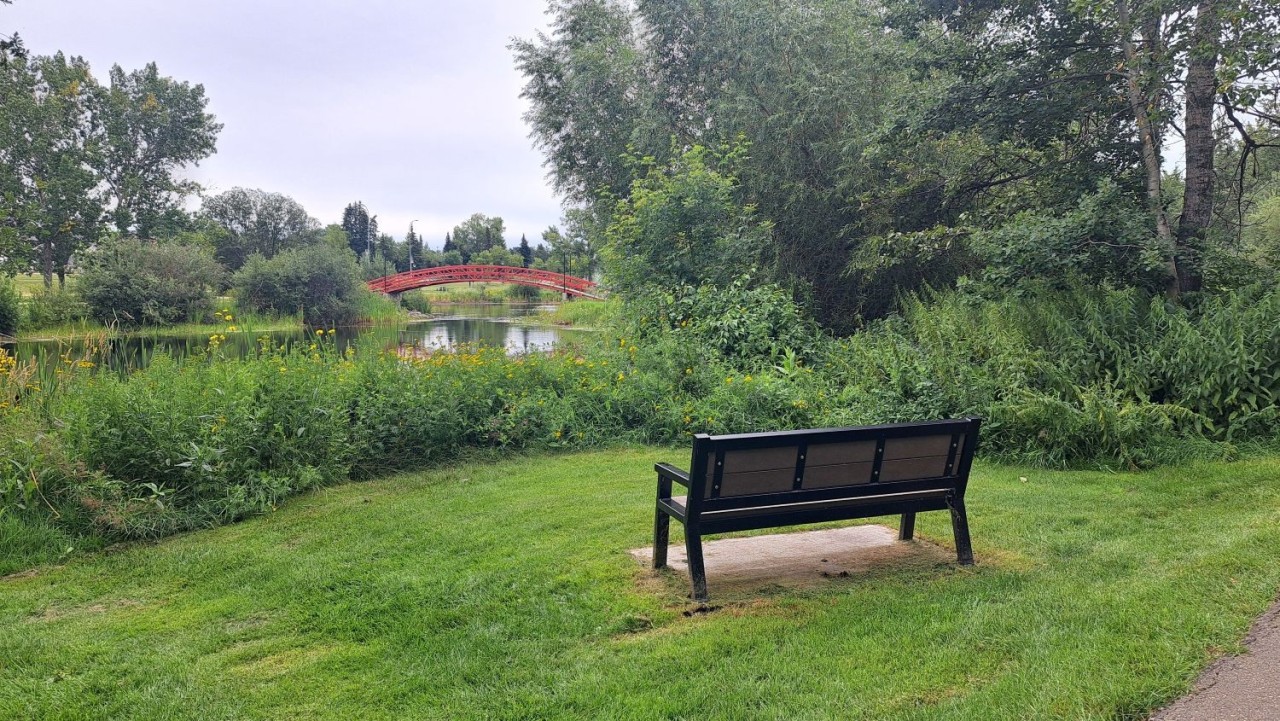 Creekside Bench Overlooking Dog Rump Creek - Sit back on a quiet bench by Dog Rump Creek. Listen to the water, watch wildlife, and enjoy a moment of peace.
