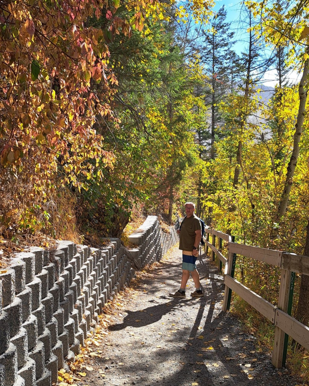 Fall Hike to Lussier Hot Springs – Autumn Forest Trail - Walk through bright fall colours on the forested trail. The trees create a warm and quiet setting in autumn.
