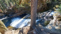 Cherry Creek Falls Kimberley BC Forest Viewpoint