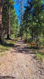 Cherry Creek Falls Kimberley BC Walking Trail