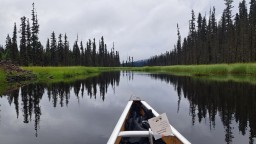 Kibbee Lake Calm Paddle