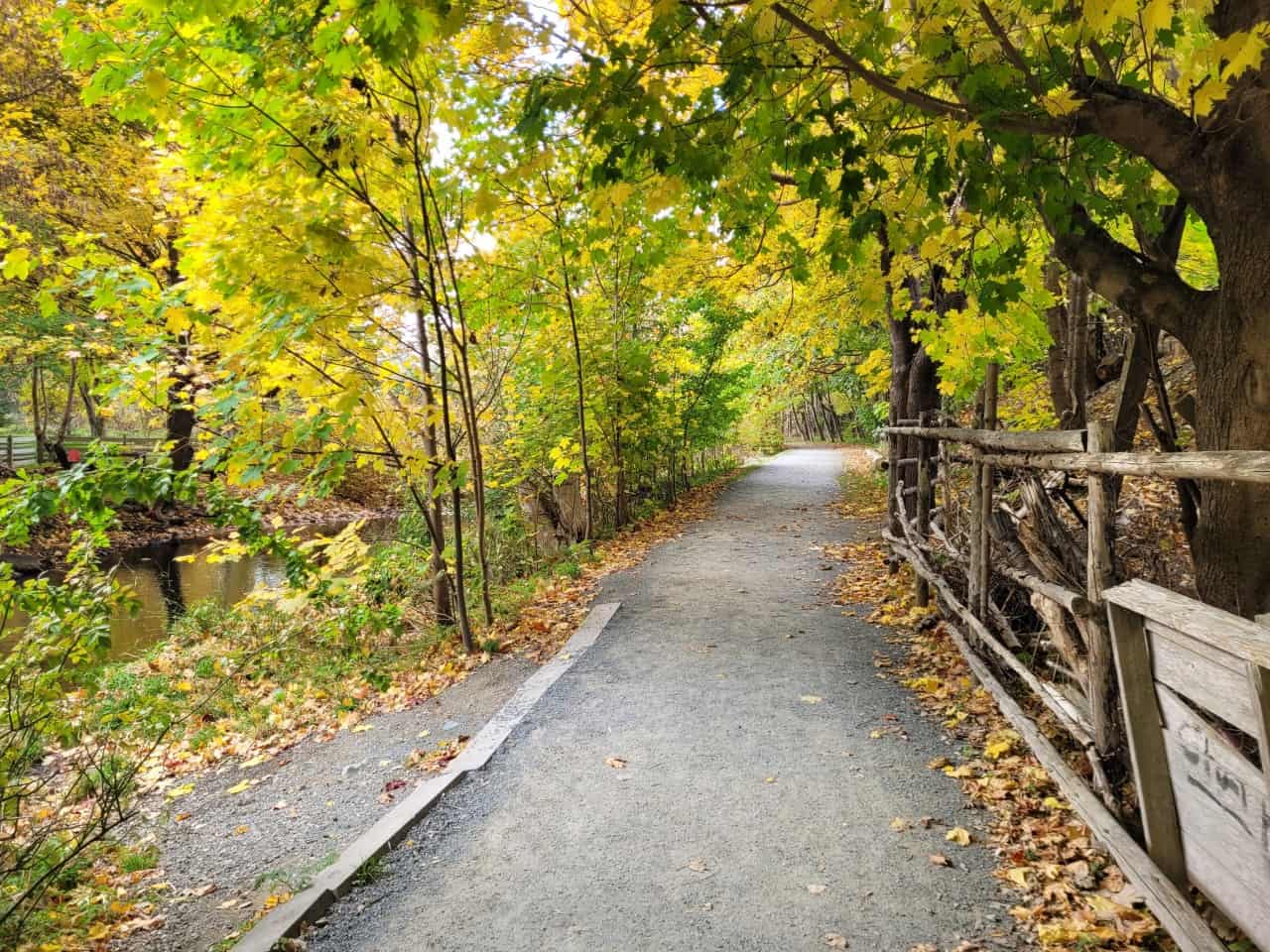 Rennie’s River Trail Connecting St. John’s Communities - Rennie’s River Trail, St. John's, Newfoundland is part of the Grand Concourse Trail Network, offering easy access to other parks and walking paths that connect St. John’s communities, showcasing the city's natural beauty.
