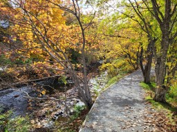 Rennie’s River Trail – A Gateway to Nature in St. John’s, NL