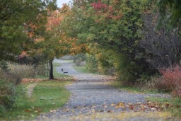 Perfect Spot to Relax on the Quidi Vidi Lake Trail St. John's Newfoundland