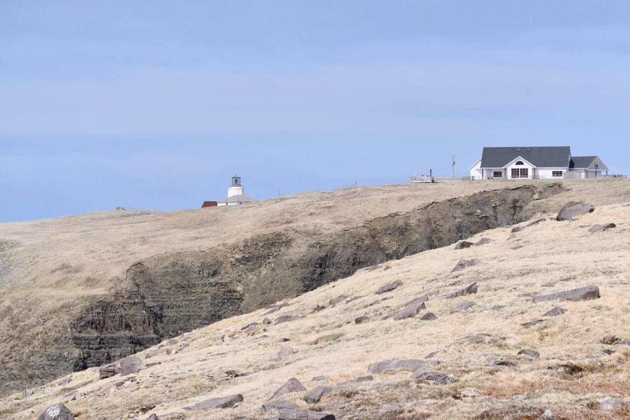 Cape St. Mary’s Ecological Reserve Newfoundland Canada - Towering sea cliffs at Cape St. Mary’s Ecological Reserve rise dramatically above the North Atlantic, creating one of Newfoundland’s most iconic coastal landscapes and premier wildlife viewing locations.