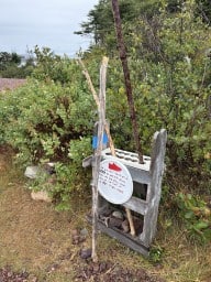 Hiking-Sticks-at-Chance-Cove-Trailhead