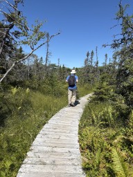 Boardwalk-Bakers-Brook-Falls