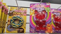 shopping-bower-place-mall-red-deer-alberta