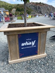 The-Wharf-in-Quidi-Vidi
