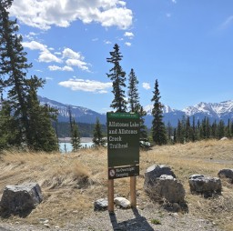 Allstones Trailhead Near Abraham Lake