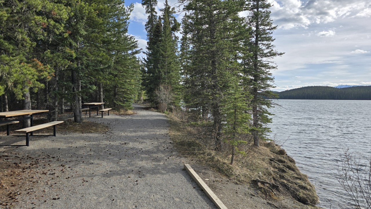 Beautiful Lakeside Picnic Areas on Shunda Lake - A peaceful shoreline trail winds through the trees along the edge of Shunda Lake at Fish Lake Recreation Area near Nordegg, Alberta.
