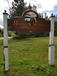Harvey Moore Wildlife Sanctuary, Montague, Prince Edward Island, Canada