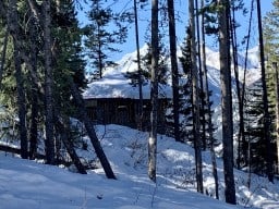 Fort Hide and Seek Hidden Among the Trees.Resort in British Columbia 2023-03-26