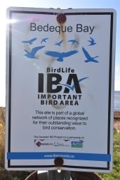Look for Bedeque Bay, IBA signs on PEI for great birdwatching