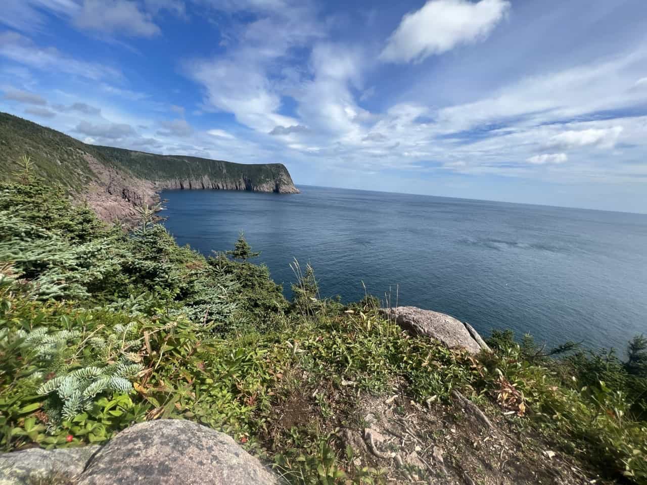 Sugar Loaf Path, East Coast Trail, St. John's, Newfoundland - The breathtaking views along the coastal trail. The skyline and Atlantic Ocean glisten in the sunshine. A great location for a picnic, bird watching or waiting to see whales who visit here each summer.  